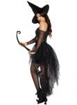 Women’s Wicked Witch Sexy Halloween Costume